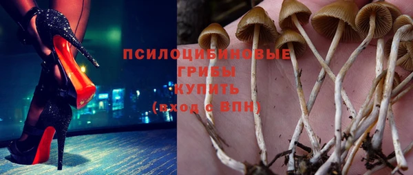 первитин Алексин