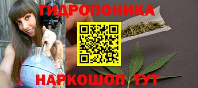 ECSTASY Кимры