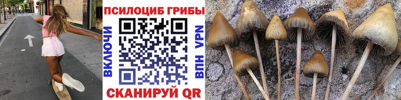 Галлюциногенные грибы MAGIC MUSHROOMS  darknet состав  Иркутск  купить наркоту 