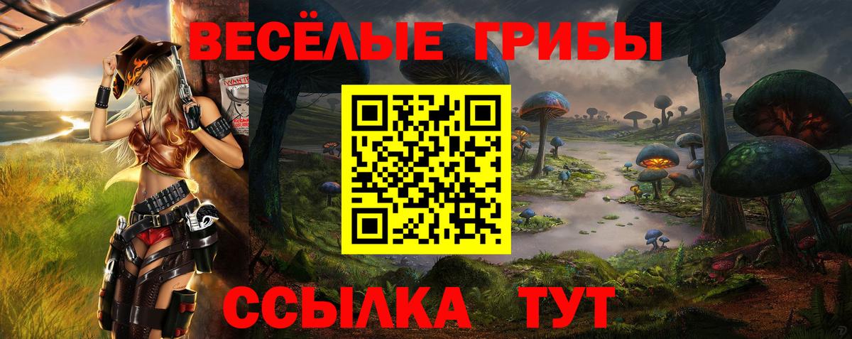 Псилоцибиновые грибы мухоморы  Вход с VPN  Иркутск 